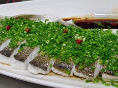 翘嘴鱼-江南荣庄