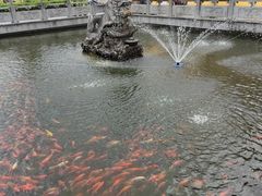 -会龙寺