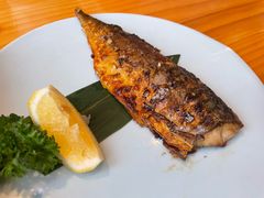 烤青花鱼-楽燚日本料理(九曲里店)
