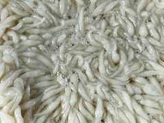 -彭氏桂花凉虾(CBD店)