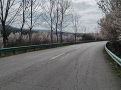 -尤素福东举院饺子馆