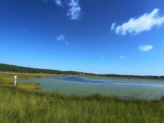 -塞罕坝国家级自然保护区