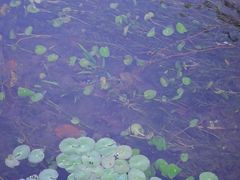 -中国茶叶博物馆(双峰馆区)
