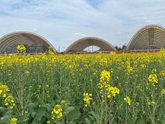 -中国天府农业博览园