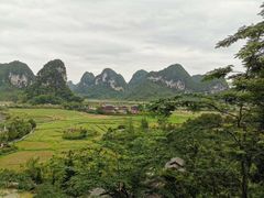 -靖西鹅泉风景区