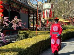 -白家大院·王府宫廷菜(苏州街店)
