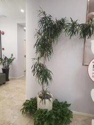 -紫琪尔胸部养护中心