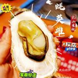 三人同行一人免单|[糖果]同价位生蚝天花板 新鲜饱满 产地空运