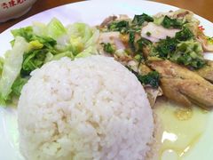 姜葱鼓油鸡饭-澳门陈光记烧味饭店(郎家园店)