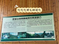 -野象谷景区