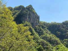 -王顺山国家森林公园