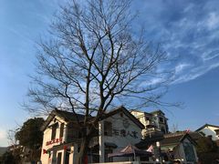 -石塘人家