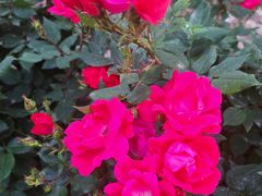 -幸福荣耀超市(学院路店)