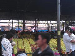 -鸿港海鲜批发市场