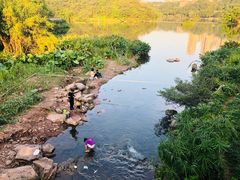 -重庆彩云湖湿地公园