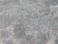 -双井轩(双井店)