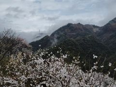 -溪口商量岗景区
