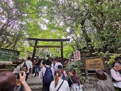 -野宫神社