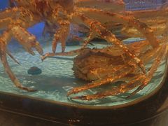 -阿伟海鲜楼·福建菜(延寿店)