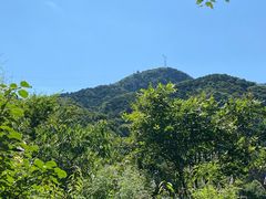 -北京鹫峰国家森林公园