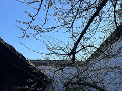 -胡雪岩故居