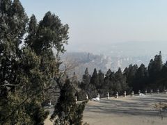 -原山国家森林公园