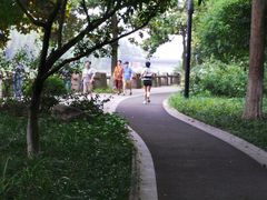 -运河游船(武林门码头)