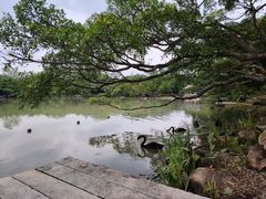 -江心屿景区