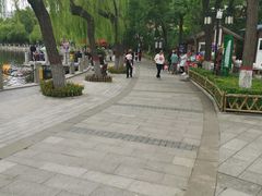 -文瀛公园