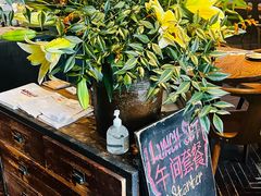 -Apollo·西班牙小酒馆(安福路店)