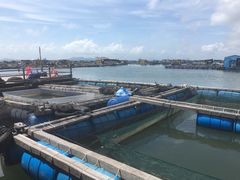 -海上驿站渔家菜馆