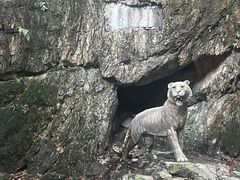 -虎跑公园