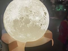 -zoonana室内动物园(东方福来德店)