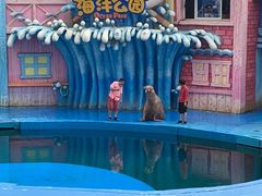 -华夏文旅海洋公园