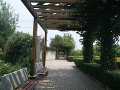 -石家庄市植物园