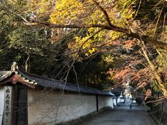 -醍醐寺