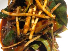 -雲蜀龙阁·金牌水煮鱼(方庄店)