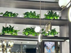 -刘胖子家常菜·蹄花焖藕(中南店)