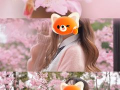 -南山植物园