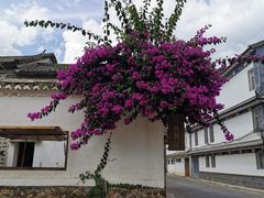 -喜洲翰林餐厅(董家百年老宅店)