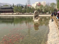-金城公园