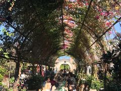 -The Grounds of Alexandria
