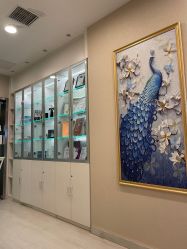 -北京楚诺医疗美容