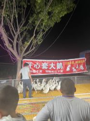 -优沃得自然教育农场·冰雪乐园·生日会·研学