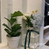 春风送爽咖啡浓香｜来看看这个清新的咖啡馆