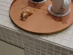 -柴务处·柴犬主题狗咖