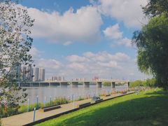 -长白岛森林公园