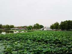 -长春市南湖公园