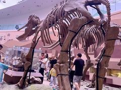 -自贡恐龙博物馆