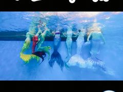 景点-上海海昌海洋公园